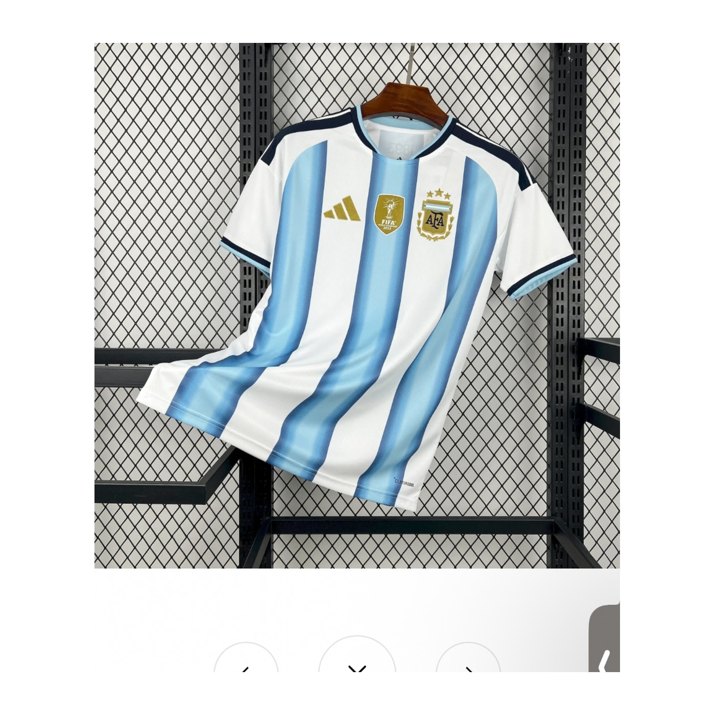 Argentine Domicile 2026